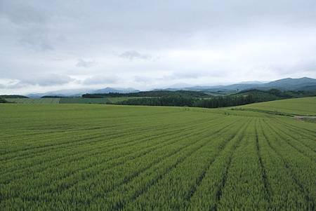 104-06-23~27日本北海道~拼布之路