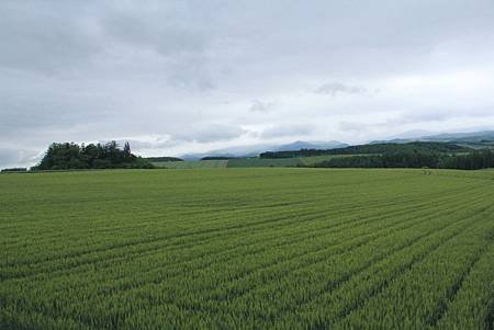 104-06-23~27日本北海道~拼布之路