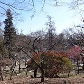 DSC03470