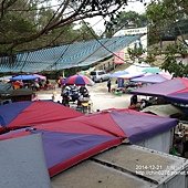 DSC_6261.jpg