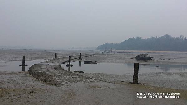 DSC_1194.jpg