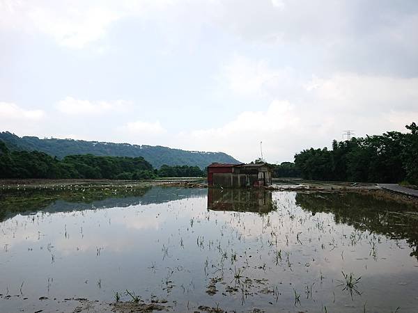 DSC_8796.JPG