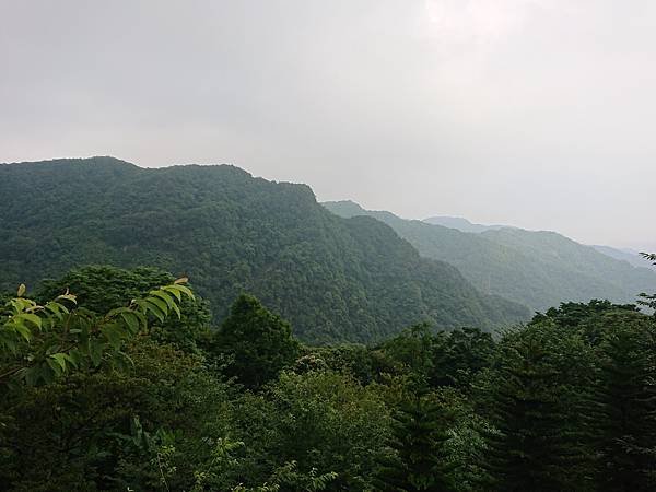 DSC_7409.JPG