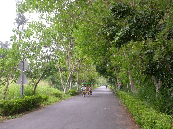 DSCN0680.JPG