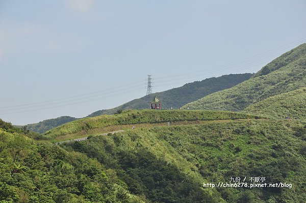 DSC_5516.JPG