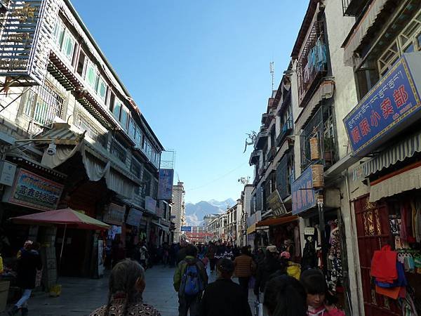 P1100044