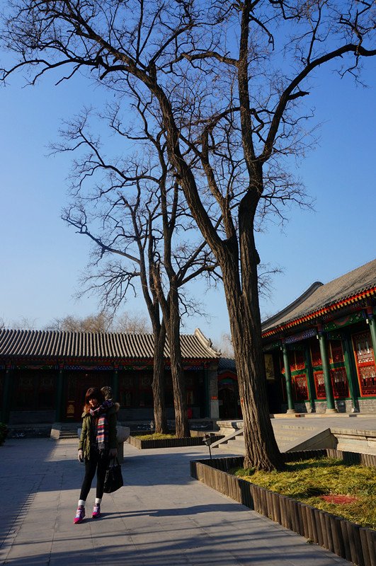 DSC00847_副本