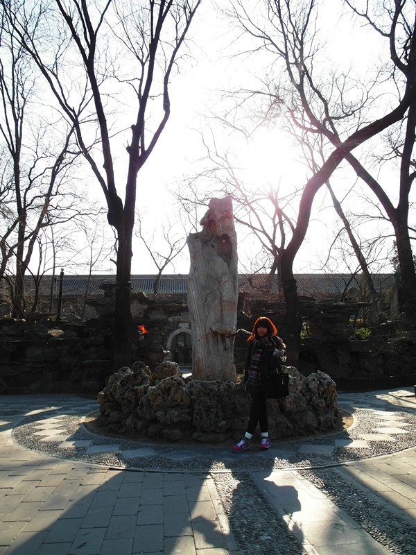 SAM_7557_副本