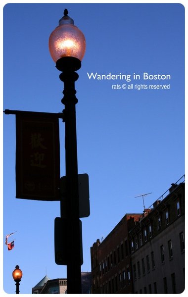 wandering in Boston -2.jpg