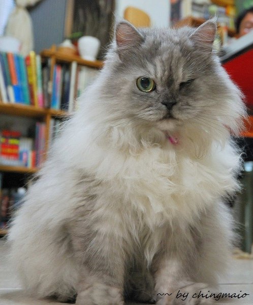 nEO_IMG_DSC_8863.jpg