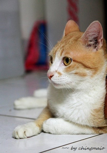 nEO_IMG_DPP_0010.jpg