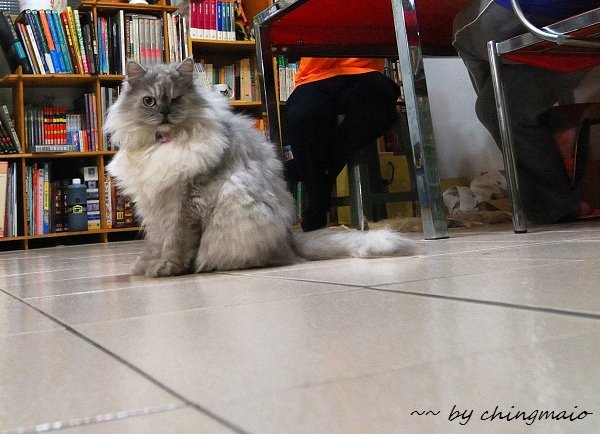 nEO_IMG_DSC_8859.jpg
