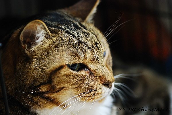 nEO_IMG_DSC_8827.jpg