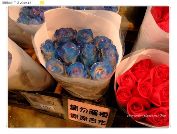 20090405014.jpg