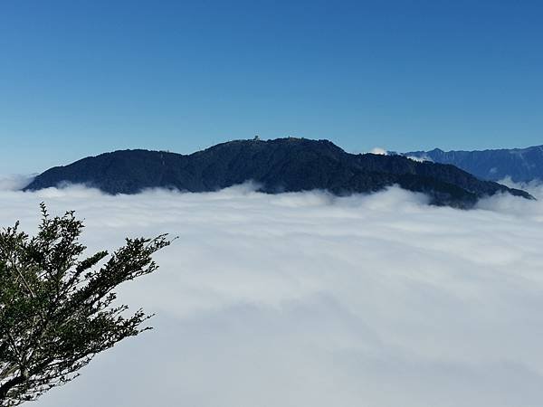 IMG_20211202_134841.jpg
