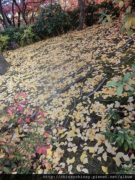 20131123277.JPG