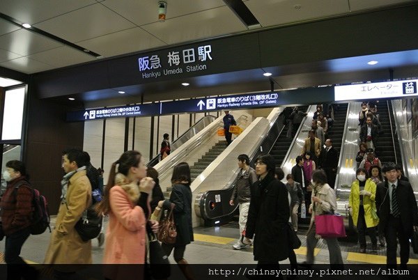 20131123444.JPG