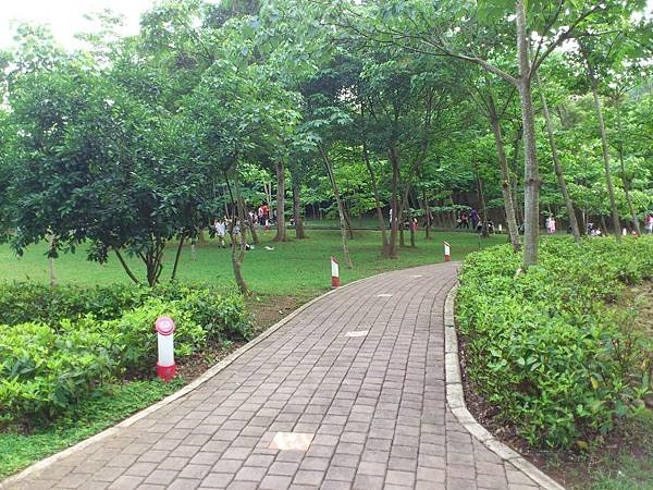 DSC_3643.JPG