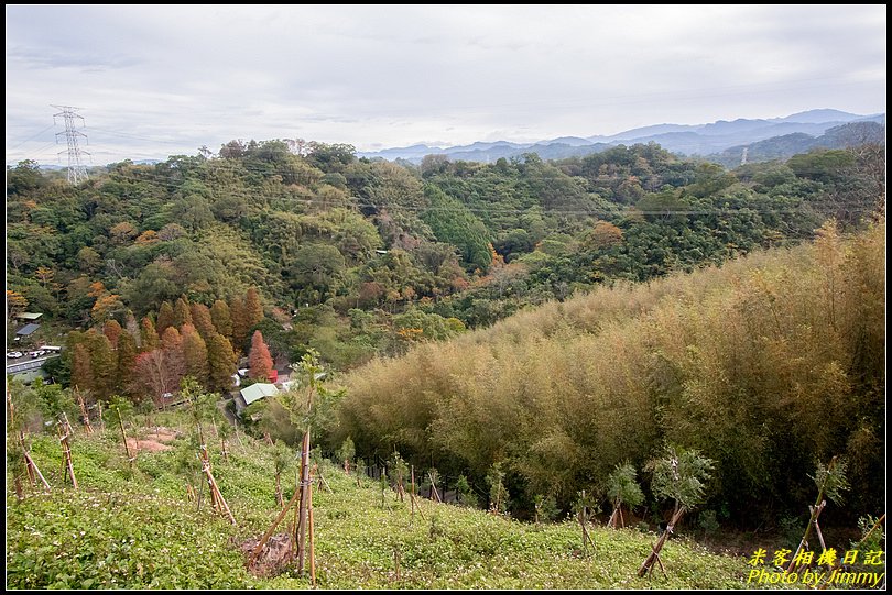 十二寮登山步道‧五星級步道的輕鬆行