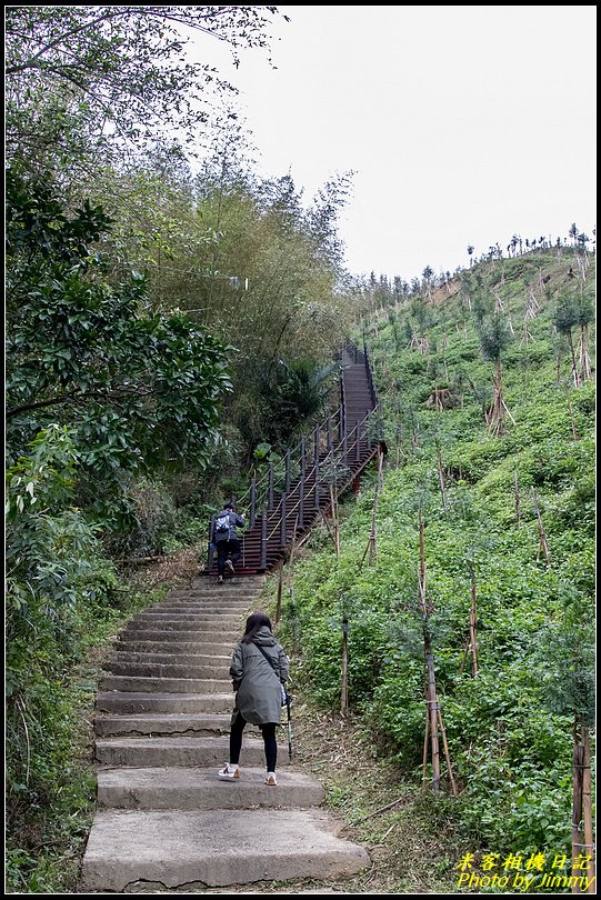 十二寮登山步道‧五星級步道的輕鬆行