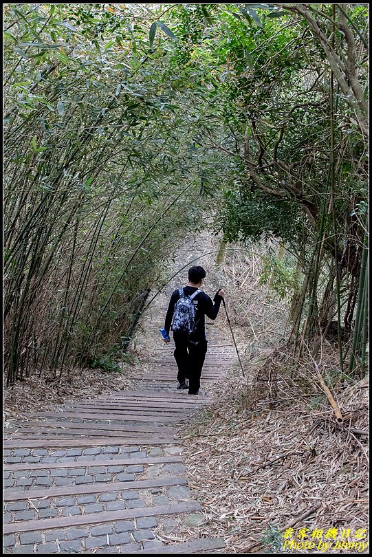 十二寮登山步道‧五星級步道的輕鬆行