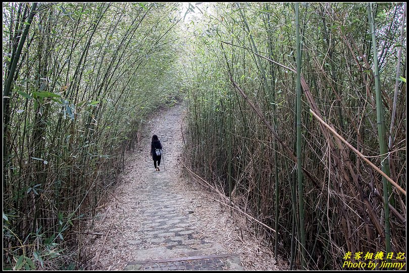 十二寮登山步道‧五星級步道的輕鬆行