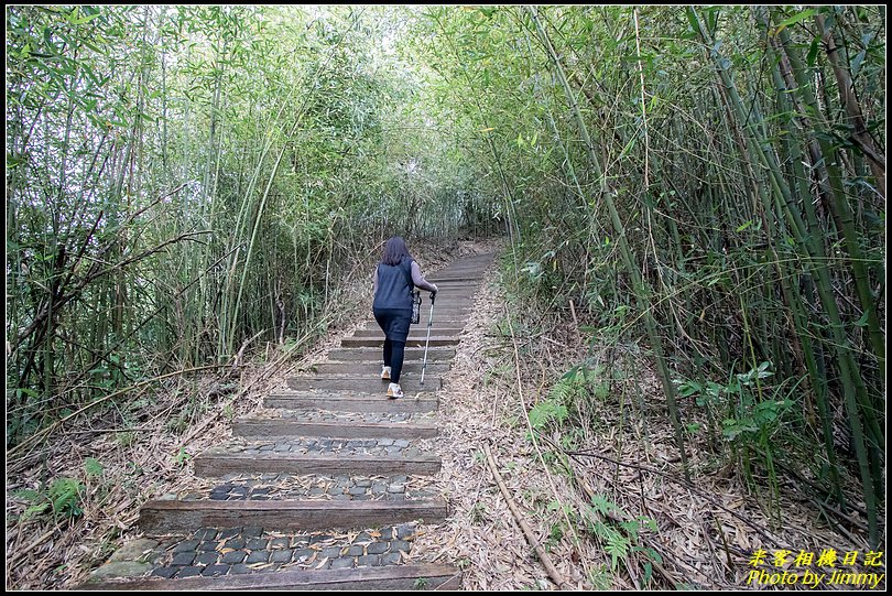 十二寮登山步道‧五星級步道的輕鬆行