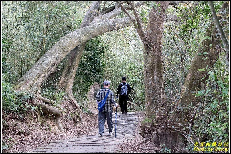 十二寮登山步道‧五星級步道的輕鬆行