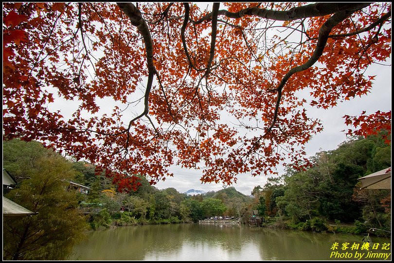 十二寮登山步道‧五星級步道的輕鬆行