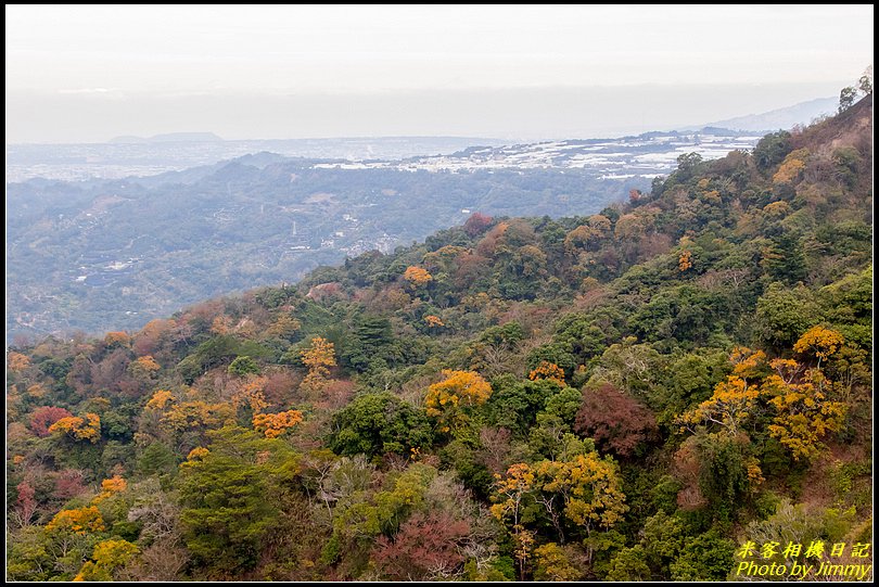 大坑四號步道、頭嵙山