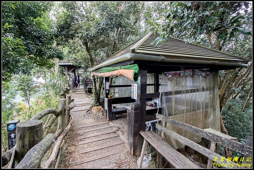 大坑四號步道、頭嵙山