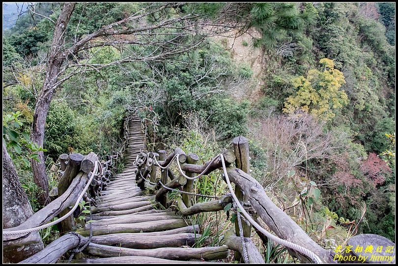 大坑四號步道、頭嵙山