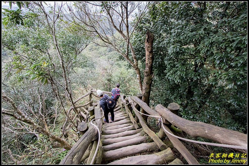 大坑四號步道、頭嵙山