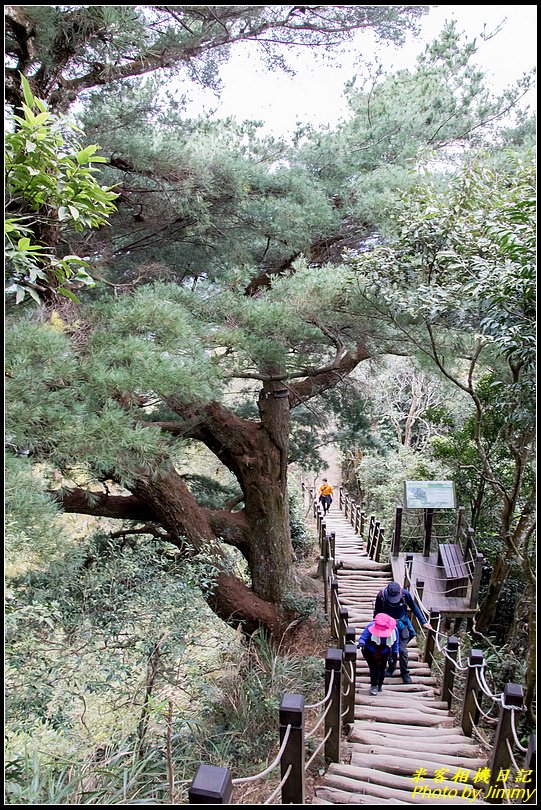 大坑四號步道、頭嵙山