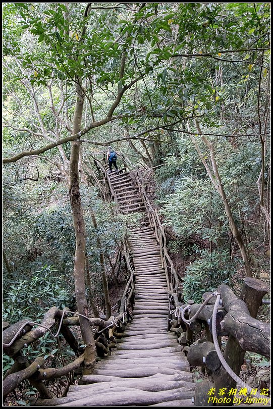 大坑四號步道、頭嵙山