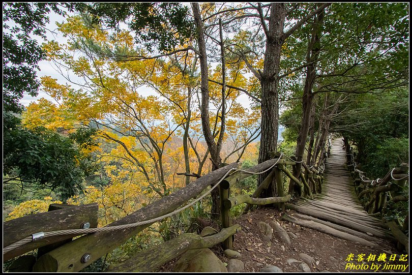 大坑四號步道、頭嵙山