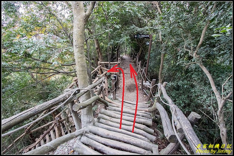 大坑四號步道、頭嵙山