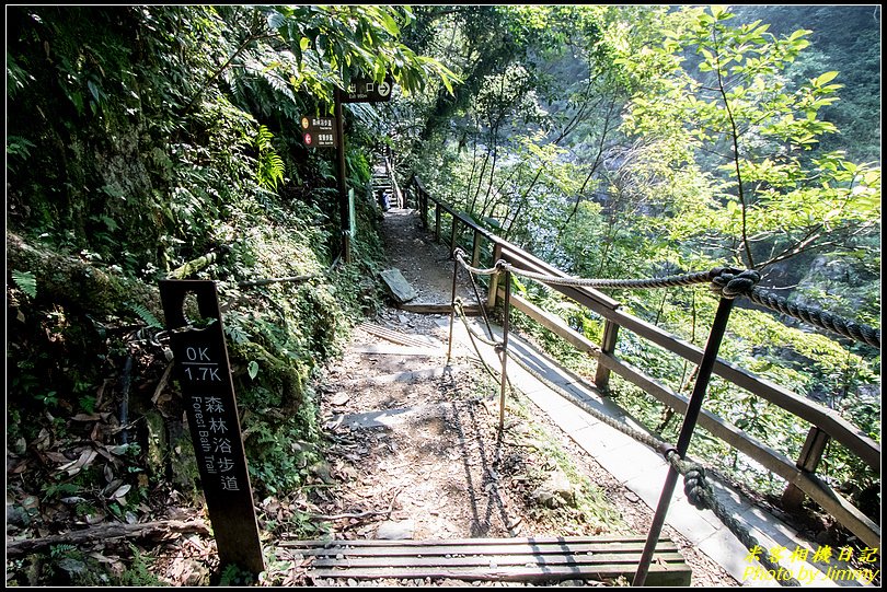 內洞森林遊樂區步道群‧觀瀑、賞景、森林浴