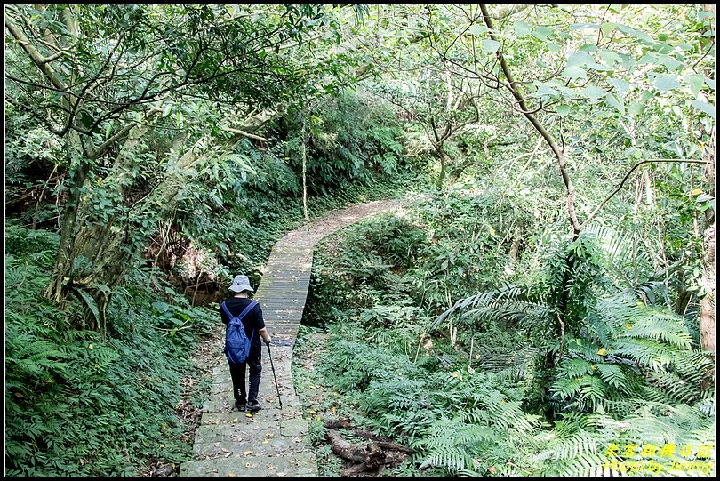 土庫岳更寮古道‧親子的簡單旅程