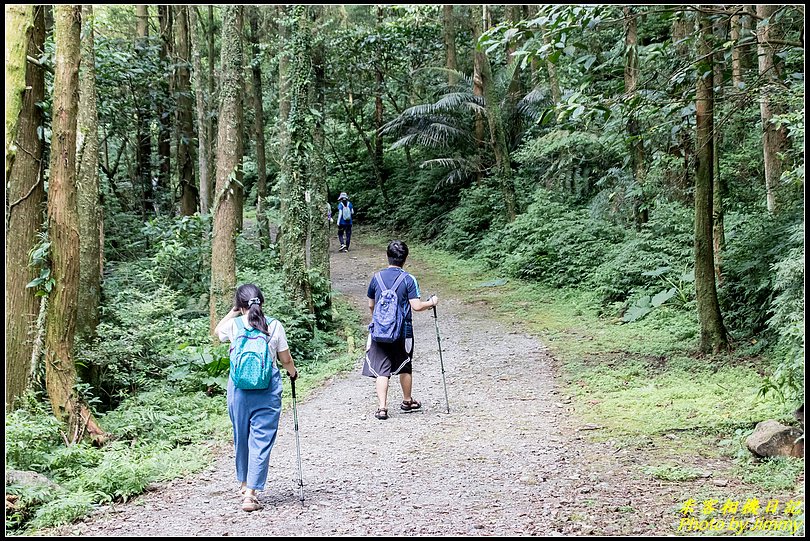 坪溪古道‧健行溯溪好路線