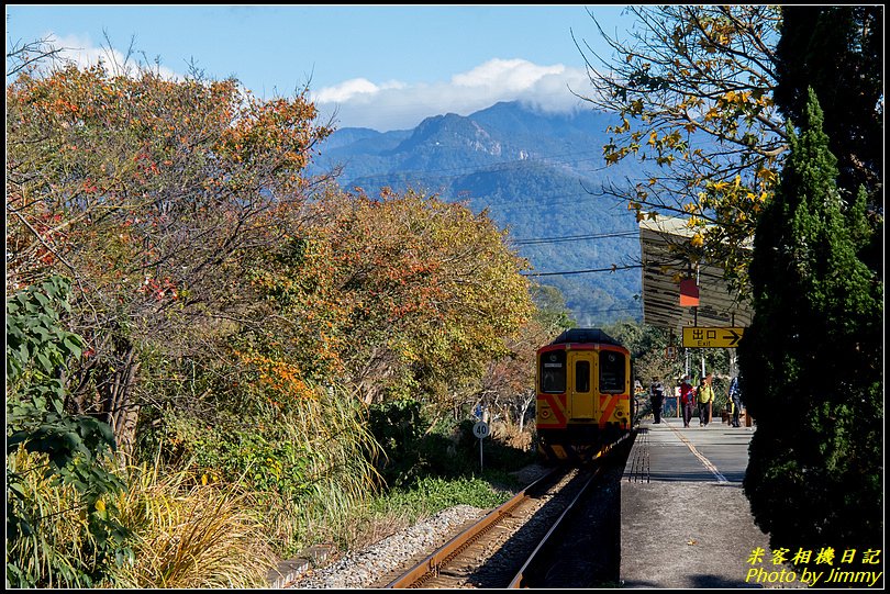 橫山車站‧楓情之美