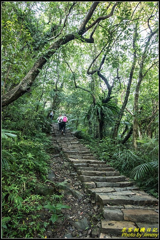 草嶺古道‧珍貴人文歷史的遺跡古道