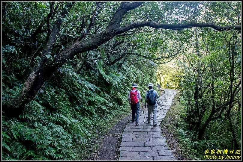 草嶺古道‧珍貴人文歷史的遺跡古道