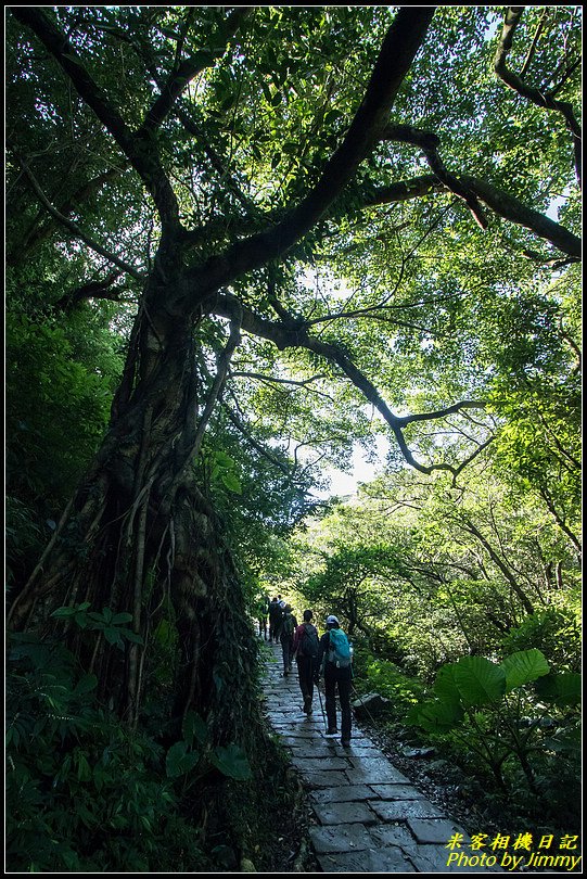 草嶺古道‧珍貴人文歷史的遺跡古道