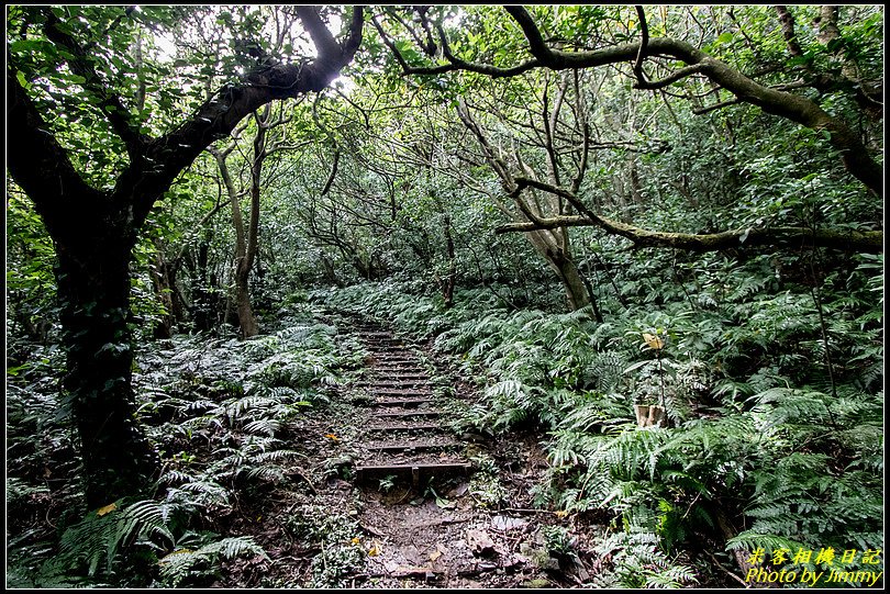 草嶺古道‧珍貴人文歷史的遺跡古道