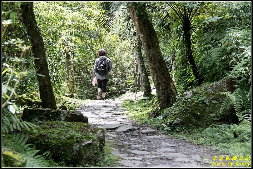 太平山‧鳩之澤自然步道