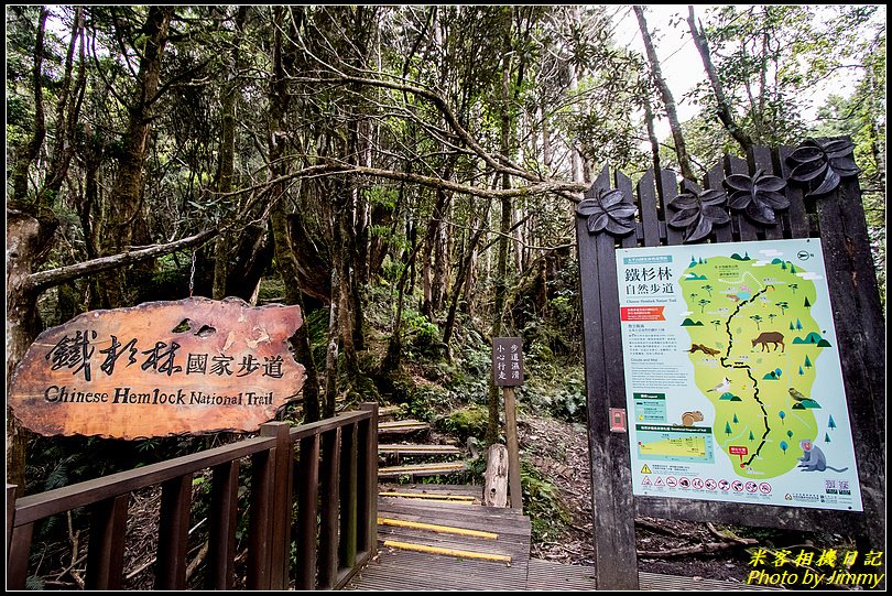 太平山‧鐵杉林自然步道