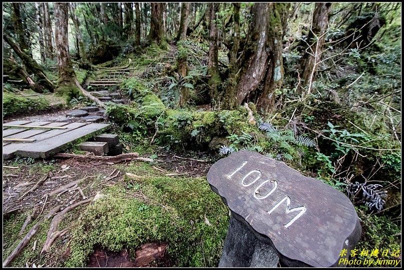 太平山‧鐵杉林自然步道