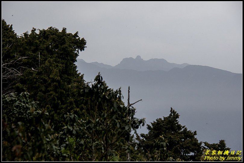 太平山‧鐵杉林自然步道