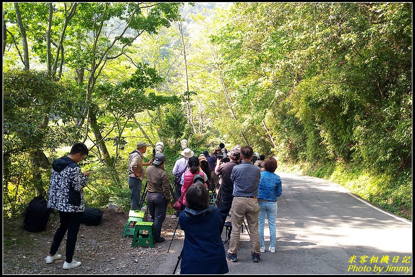 大雪山林道‧大赤啄木